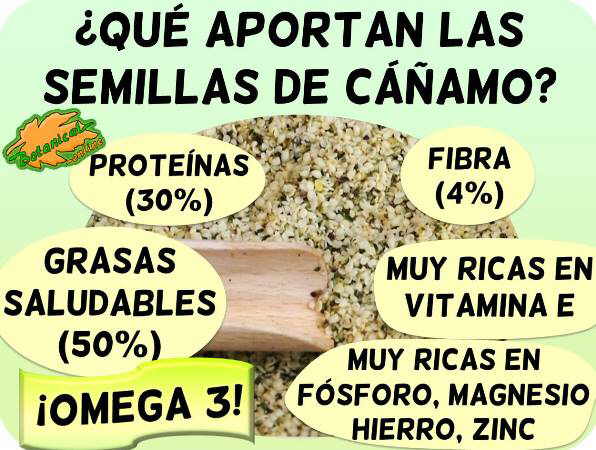 semillas cañamo composicion propiedades nutrientes