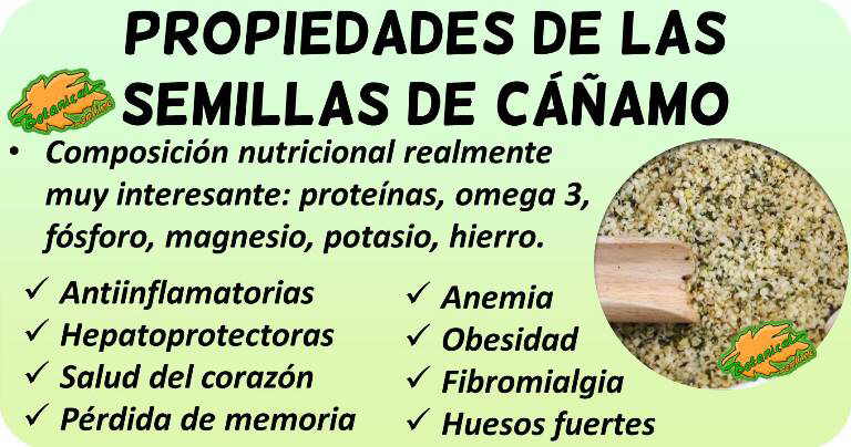 semillas cañamo propiedades medicinales