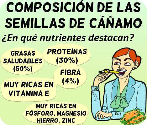 semillas cañamo composicion nutricional