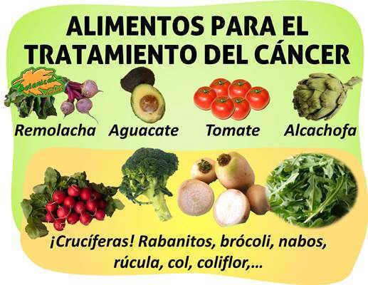 Alimentos naturales para luchar contra el cáncer, dieta anticancerigena