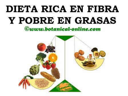 Dieta rica en fibra y pobre en grasas