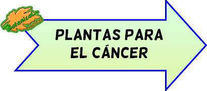 plantas cancer