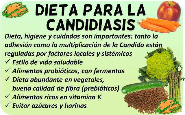 dieta para la candidiasis vaginal y oral alimentacion alimentos recomendados