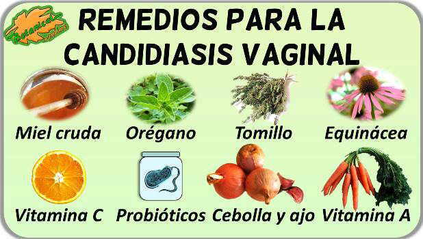 remedios naturales caseros candidiasis vaginal plantas para tratamiento natural