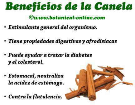 Beneficios De La Canela Botanical Online