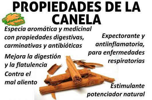 propiedades medicinales y beneficios de la canela cinnamon