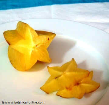 carambola