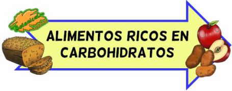 alimentos ricos en carbohidratos