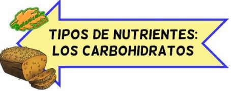 caracteristicas de los carbohidratos