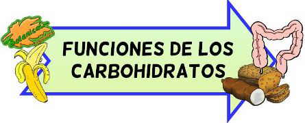 funciones carbohidratos