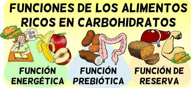 carbohidratos funciones