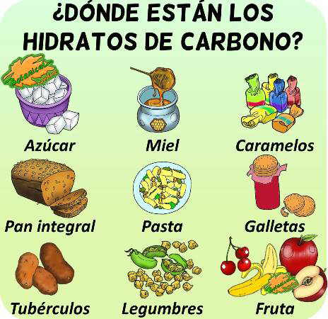 Características, funciones y tipos de hidratos de carbono – Botanical-online