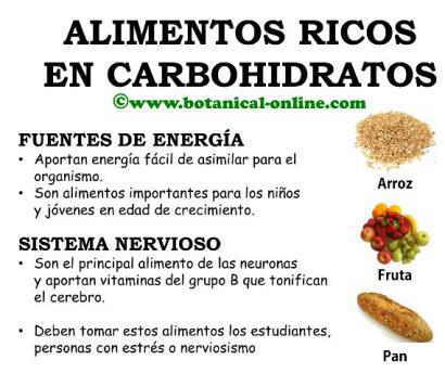 Alimentos ricos en carbohidratos