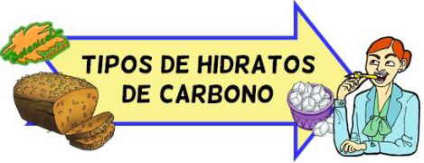 tipos carbohidratos