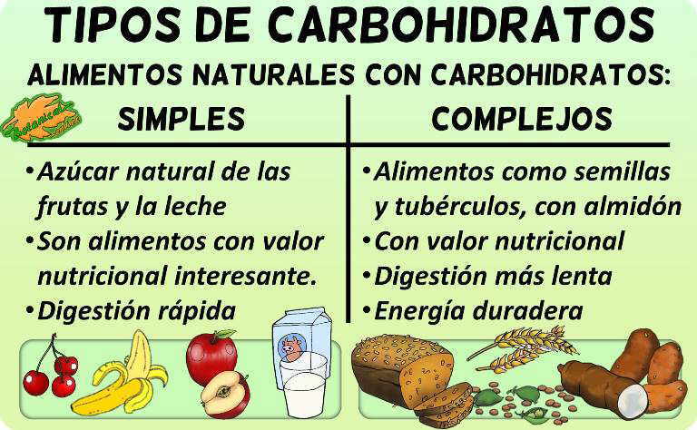 alimentos ricos en carbohidratos