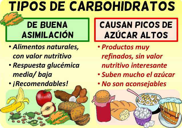 Tipos carbohidratos clasificacion nutricional dietetica saludables perjudiciales