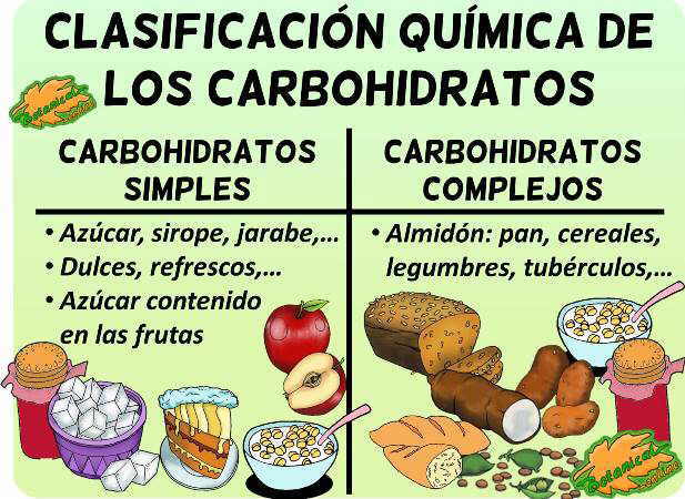 tipos de carbohidratos hidratos alimentos simples complejos