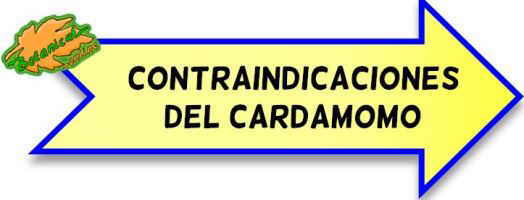 contraindicaciones del cardamomo