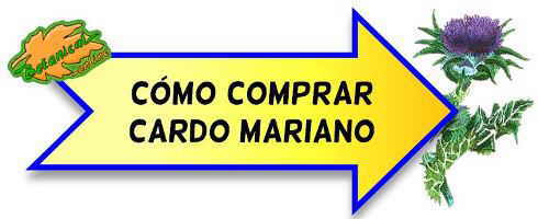 como comprar cardo mariano