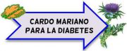 cardo mariano para la diabetes