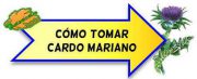 como tomar cardo mariano