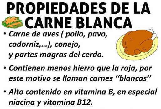 Propiedades de la carne blanca – Botanical-online