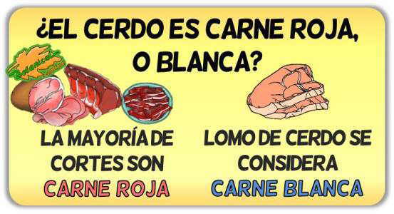 carne cerdo propiedades carne blanca