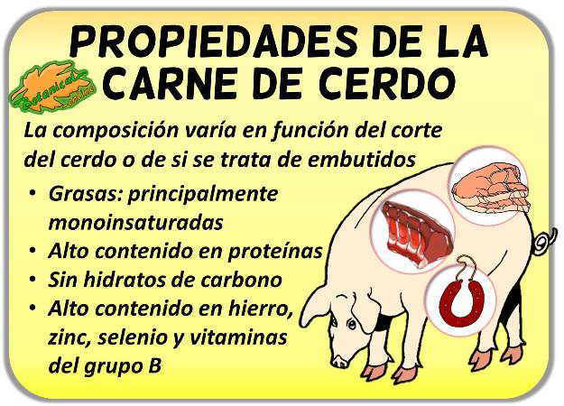 propiedades de la carne de cerdo roja blanca vitaminas y hierro