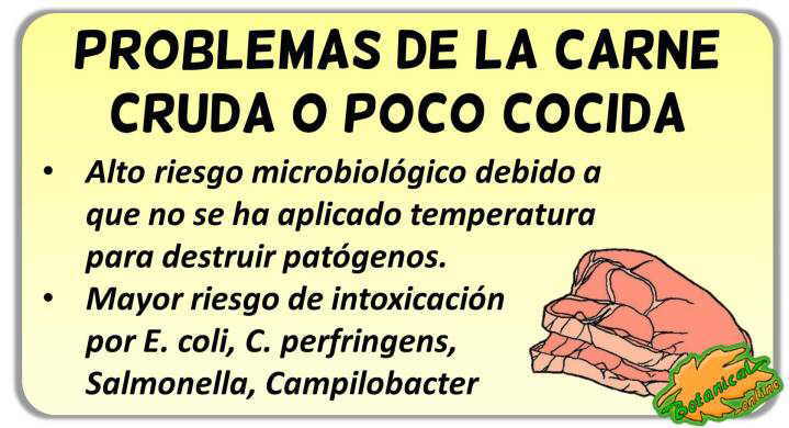 carne cruda poco cocinada propiedades beneficios intoxicacion 