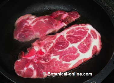 Carne grasa