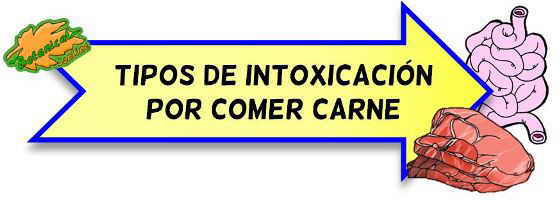 intoxicacion carne