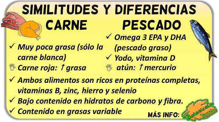 diferencias carne y pescado, nutricion y beneficios