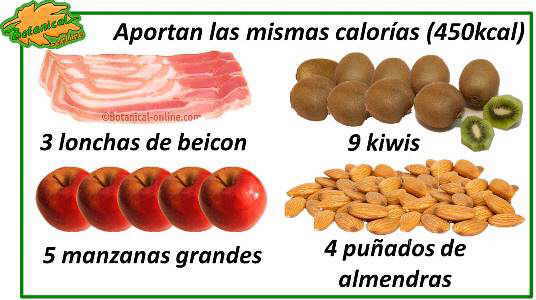 carne procesada, beicon y obesidad