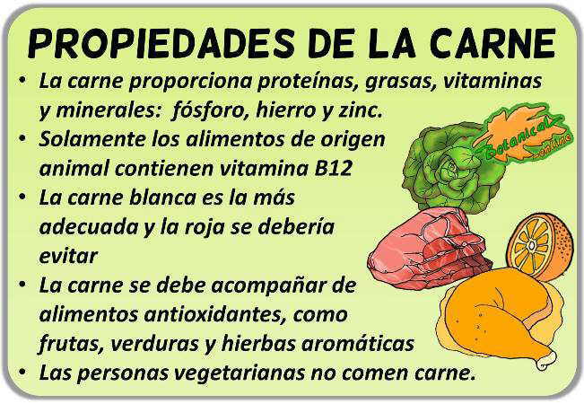 propiedades y beneficios de la carne