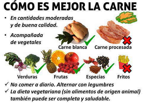 recomendaciones sobre el consumo de carne, como es mejor la carne