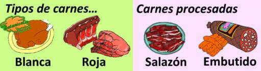 tipos de carne, embutido salazon carne blanca y roja