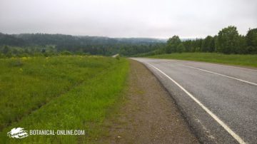 Carretera