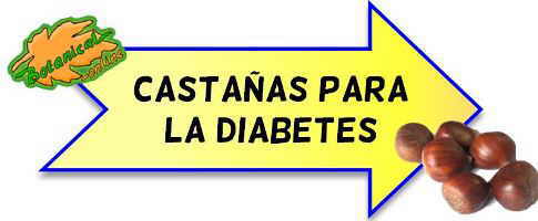 castañas para la diabetes