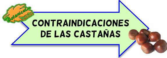 contraindicaciones de las castañas