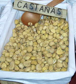 castañas pilongas