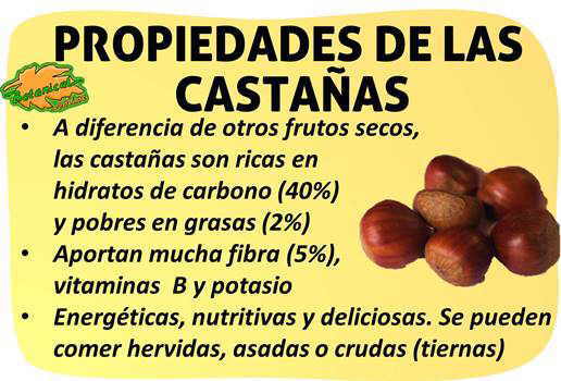 castañas composicion nutricional contenido hidratos carbono proteinas grasas