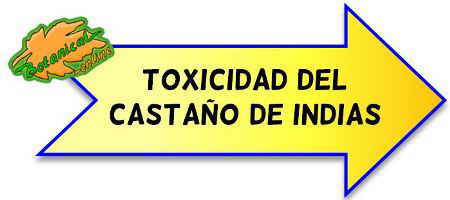 toxicidad castaño