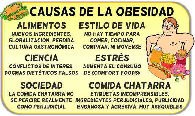 causas entorno ambiente obesogenico obesidad infantil epidemia comida chatarra basura salud publica educacion nutricional