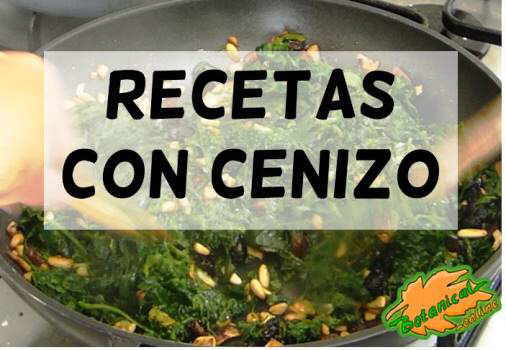 lamina recetas con cenizo