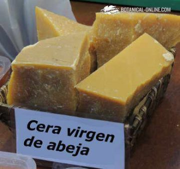 La cera de abeja – Botanical-online