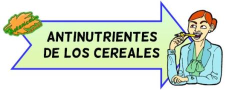 antinutrientes de los cereales