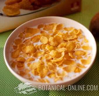 cereales desayuno