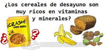 vitaminas y minerales de los cereales extrusionados de desayuno