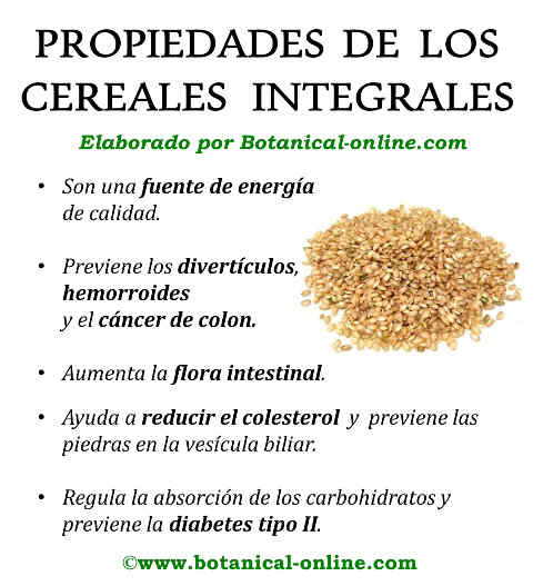Propiedades de los cereales integrales