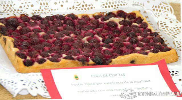 coca de cerezas